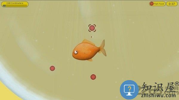 美味海洋手机版下载v1.3.4.0 安卓版