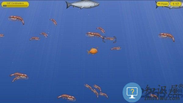 美味海洋手机版下载v1.3.4.0 安卓版