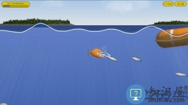 美味海洋手机版下载v1.3.4.0 安卓版