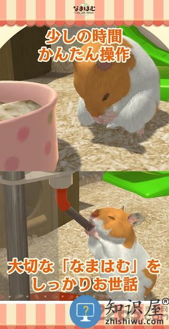 云仓鼠汉化版下载v5.0.15 安卓版