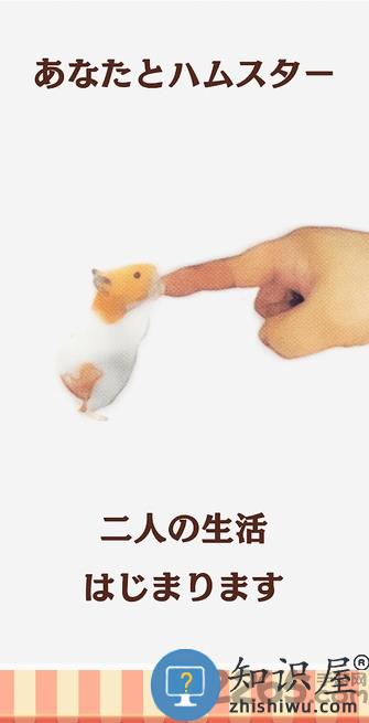 云仓鼠汉化版下载v5.0.15 安卓版