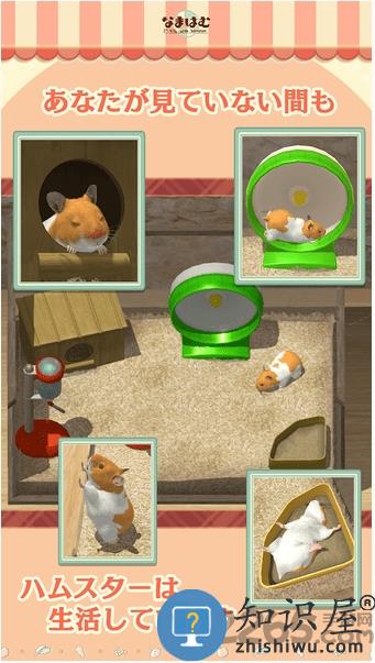 云仓鼠汉化版下载v5.0.15 安卓版