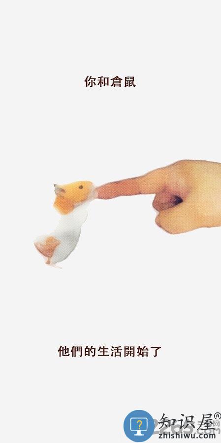 我的仓鼠游戏下载v5.0.15 安卓版