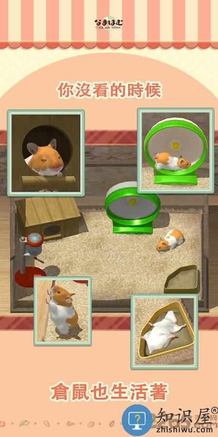 我的仓鼠游戏下载v5.0.15 安卓版