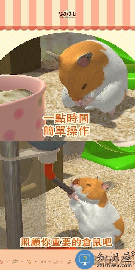 我的仓鼠游戏下载v5.0.15 安卓版