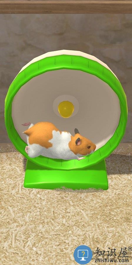 我的仓鼠游戏下载v5.0.15 安卓版