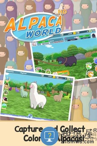 羊驼世界汉化版下载v3.11.0 安卓版