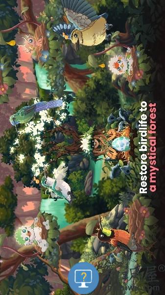 鸟类世界游戏(Bird Kind)下载v1.36 安卓最新版本