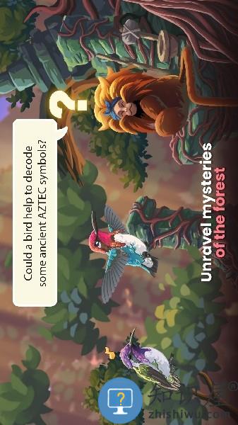 鸟类世界游戏(Bird Kind)下载v1.36 安卓最新版本