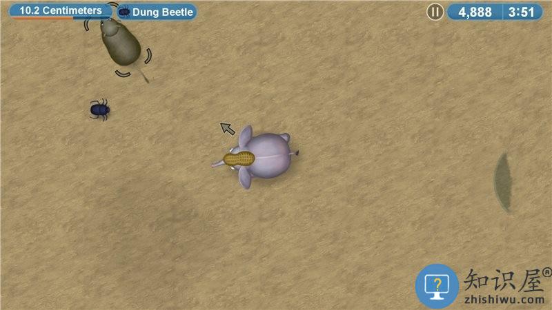 永恒美味星球中文版下载v1.9.5.0 安卓2024最新版