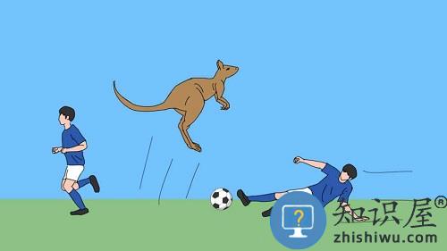 猫跨栏手机版下载v1.0.13 安卓版