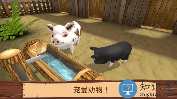 宠物世界我的动物收容所手游(PetWorld)下载v5.6.21 安卓版