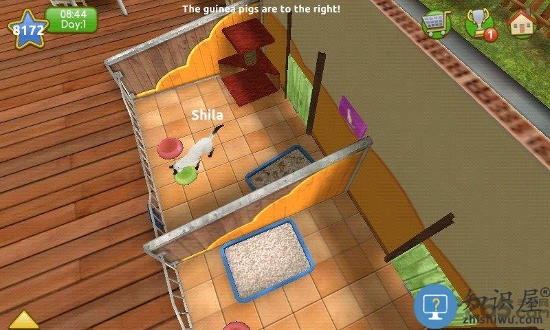 我的动物救援中文破解版下载v5.6.21 安卓解锁全部版