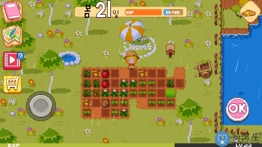 农场m公主的农场经营时光汉化版下载v1.2.4 安卓版