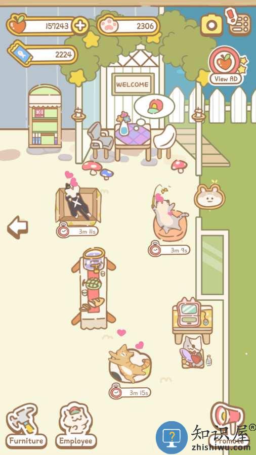 猫咪spa游戏中文版下载v1.1.14 安卓版