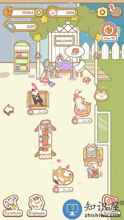 猫猫水疗馆游戏下载v3.1.4 安卓版