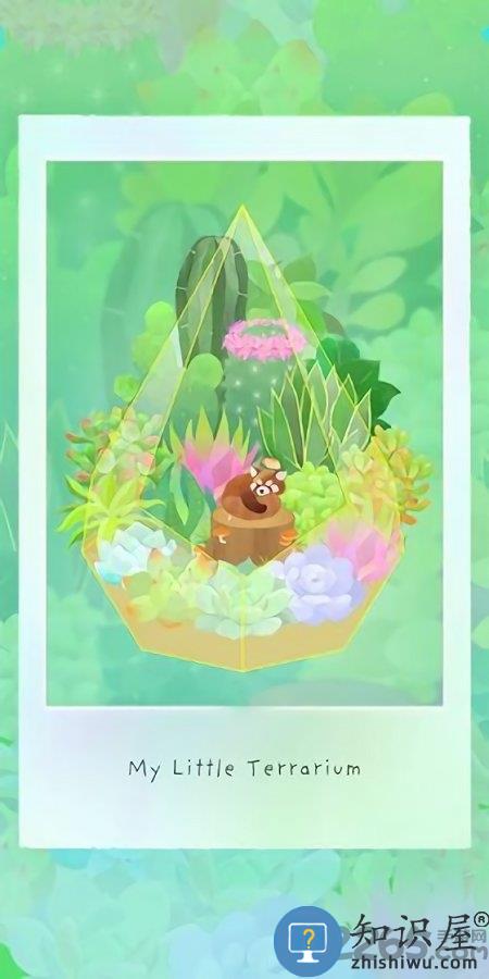 我的水晶花园最新版(My Little Terrarium)下载v2.8.27 安卓版