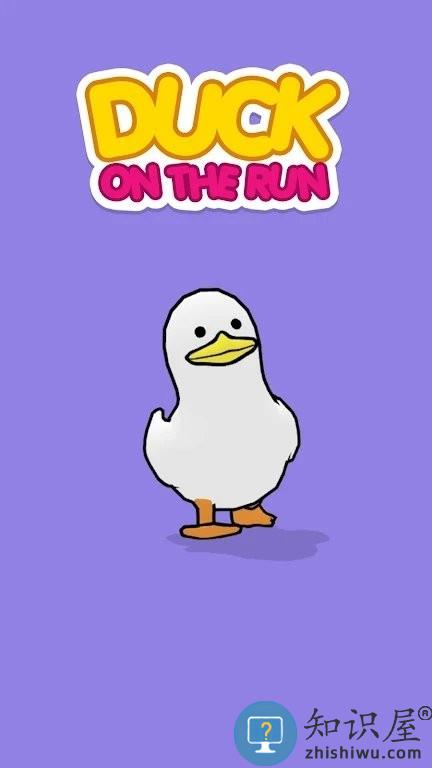 鸭子跑酷中文版(duck on the run)下载v1.3.5 安卓内置菜单版