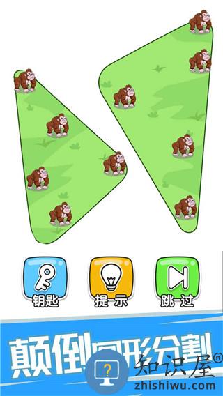 神脑洞下载v1.0.0.3 安卓版