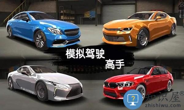 模拟驾驶高手下载v1.1.8 安卓版