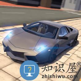 极限驾车模拟中文破解版下载v7.6.11 安卓版