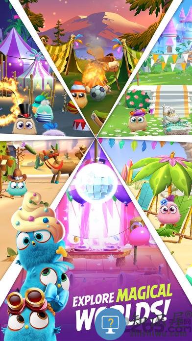 愤怒的小鸟消除大赛内购破解版下载v9.3.2 安卓汉化版