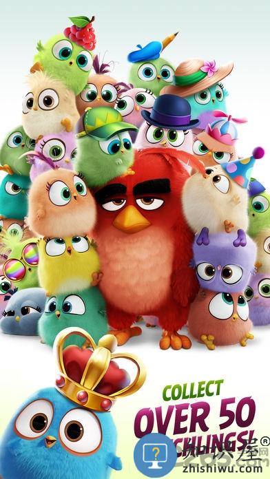 愤怒的小鸟消除大赛内购破解版下载v9.3.2 安卓汉化版