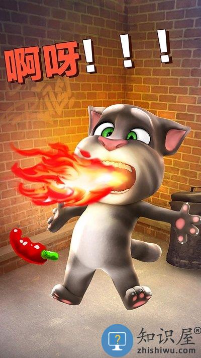 会说话的汤姆猫手机版最新版下载v5.1.2.3389 安卓中文版