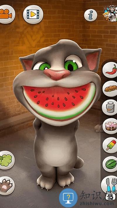 会说话的汤姆猫手机版最新版下载v5.1.2.3389 安卓中文版