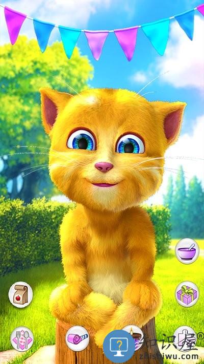 会说话的金杰猫2游戏最新版下载v3.0.0.383 安卓中文版