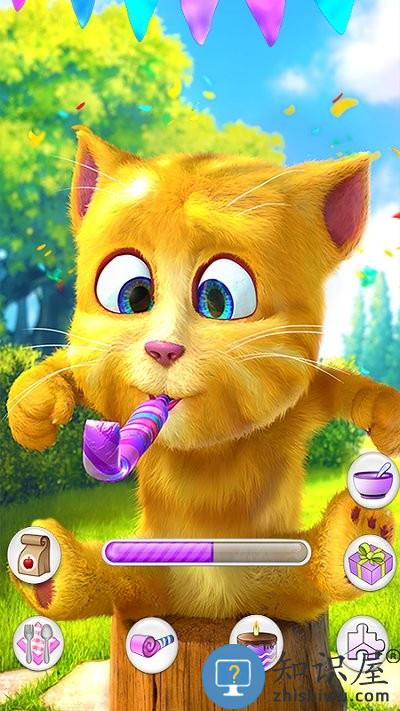会说话的金杰猫2游戏最新版下载v3.0.0.383 安卓中文版