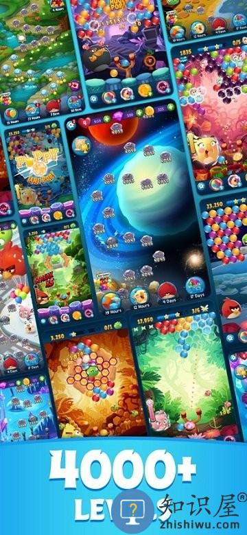 2025愤怒的小鸟思黛拉泡泡免费版(ab pop!)下载v3.149.0 安卓最新版