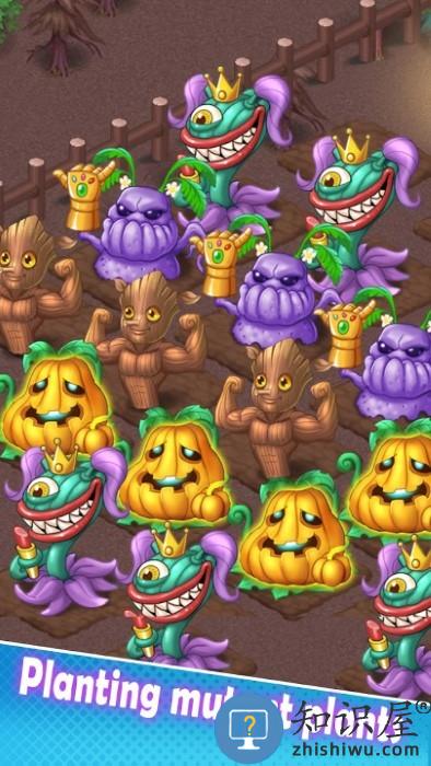 梦幻小院小游戏下载v1.0.9 安卓版