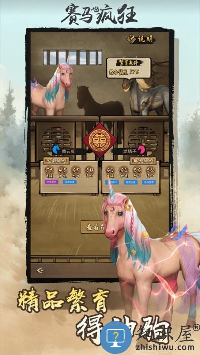 赛马也疯狂游戏下载v3.5.0 安卓版