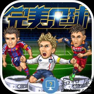  完美足球手机游戏下载v7.0.5 安卓版