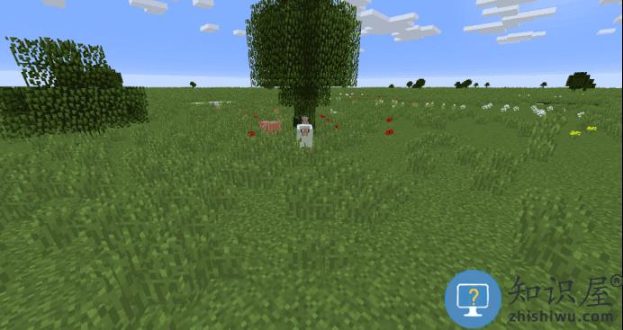 我的世界网易版攻略