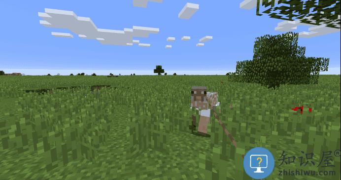 我的世界网易版攻略