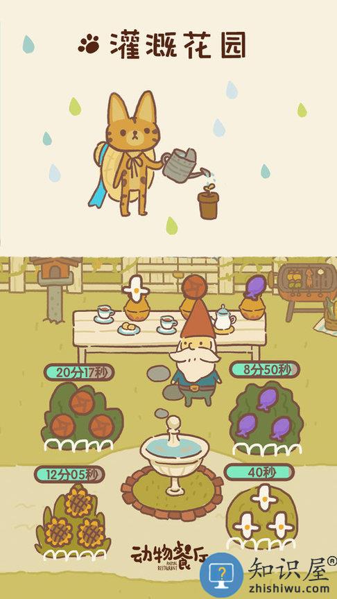 动物餐厅官方正版下载v12.19 安卓版