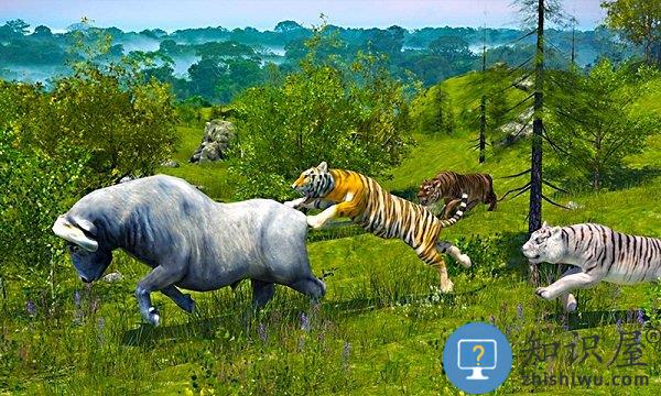 野生老虎模拟器中文版下载v1.0.5 安卓版