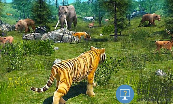 野生老虎模拟器中文版下载v1.0.5 安卓版