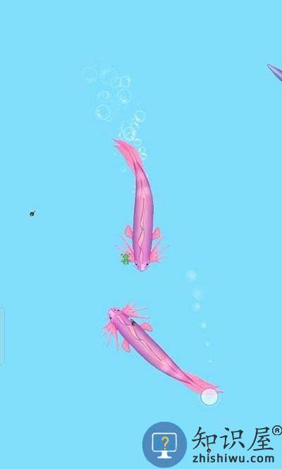 我要召唤神龙万宁版下载v1.0.6 安卓版