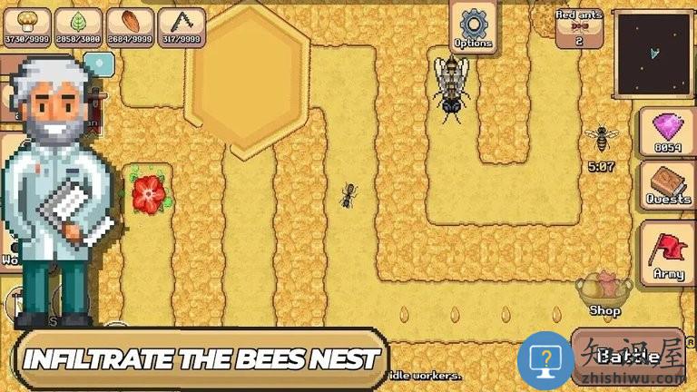 pocket ants口袋蚂蚁模拟器国际版下载v0.1049 安卓版