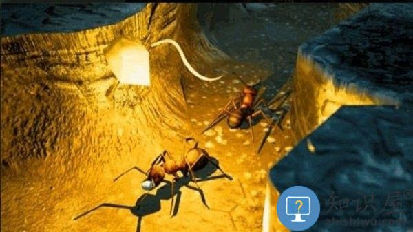 模拟地下蚁国手机版(the ants)下载v3.80.0 安卓中文完整版