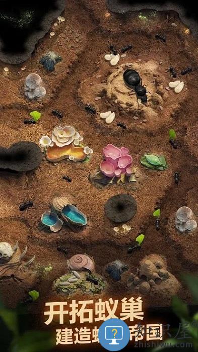 蚂蚁地下王国游戏(the ants)下载v3.80.0 安卓官方正版
