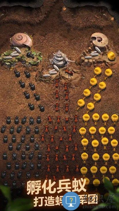 蚂蚁地下王国游戏(the ants)下载v3.80.0 安卓官方正版