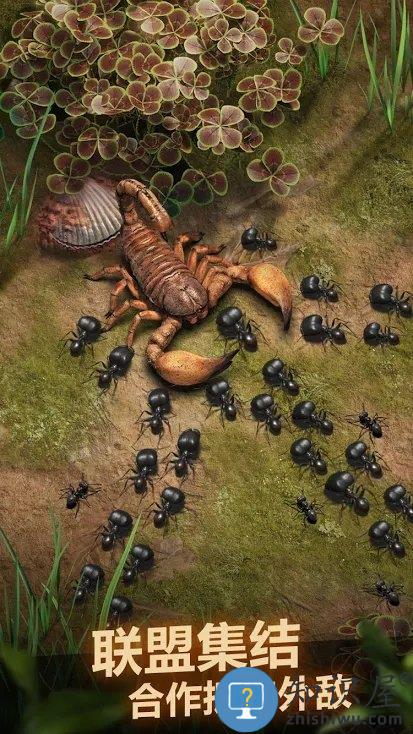 蚂蚁地下王国游戏(the ants)下载v3.80.0 安卓官方正版