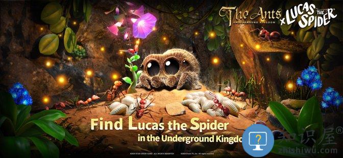 小小蚁国国际最新版(The Ants)下载v3.80.0 安卓版