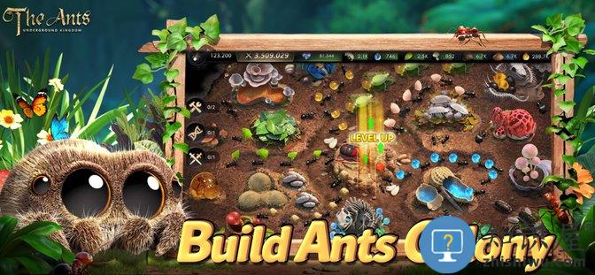 小小蚁国国际最新版(The Ants)下载v3.80.0 安卓版