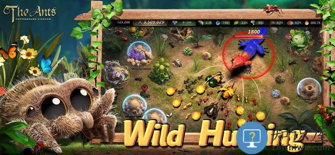 小小蚁国国际最新版(The Ants)下载v3.80.0 安卓版