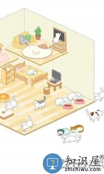 猫真可爱手机版下载v2.2.3 安卓版